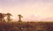 Albert Bierstadt Elk Grazing in the Wind River Country oil painting